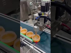 Machine de remplissage automatique de base de maquillage SUS304 pompe à engrenages chauffable