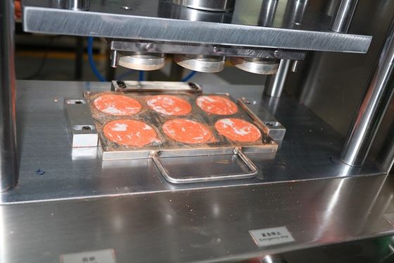 6 trous Cnc moules en aluminium pour la forme de poudre humide 1 an de garantie